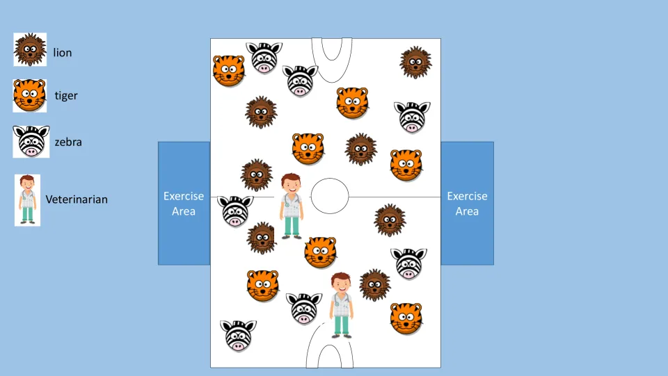 PE game setup diagram showing lions, tigers, zebras, two veterinarians, and two designated exercise areas