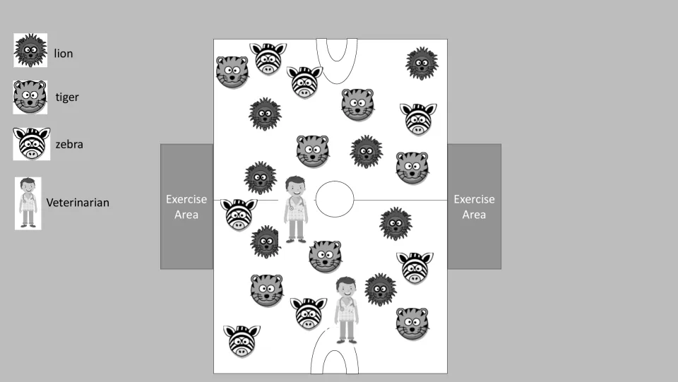 Grayscale PE game setup diagram with lion, tiger, zebra, and veterinarian roles and two exercise areas