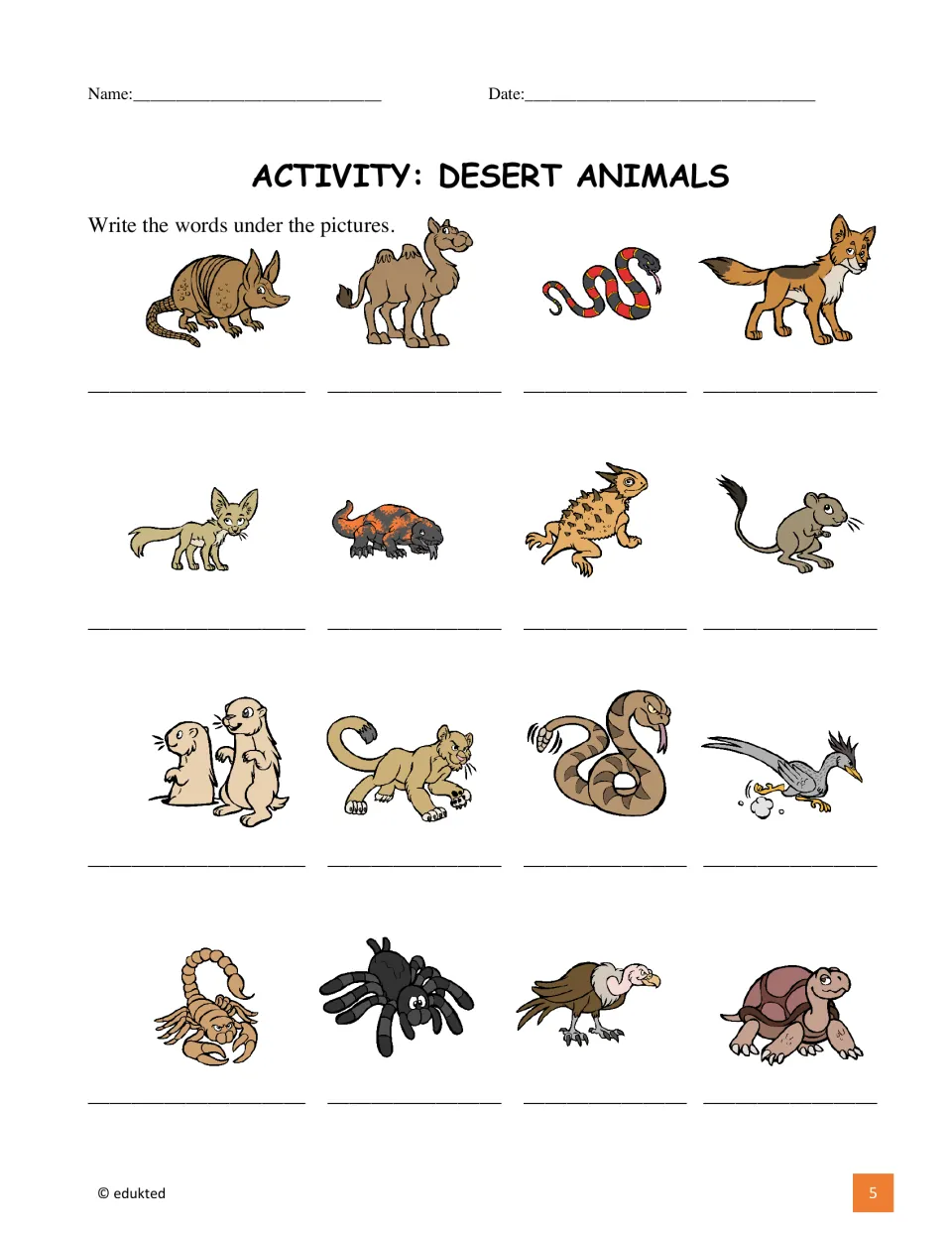 Animal labeling activity asks students to write names under 16 pictures, including a camel, puma, and tortoise.