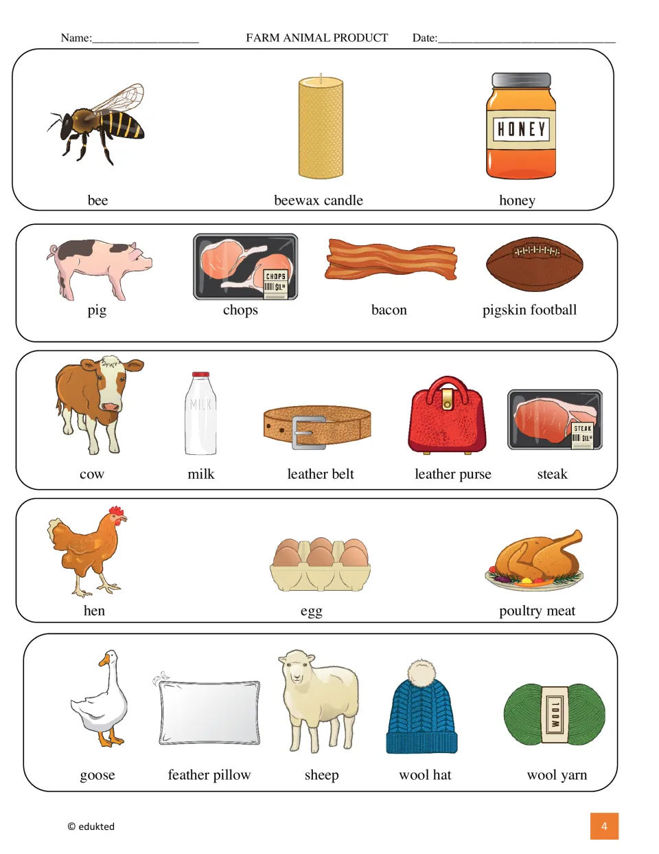Farm animal product vocabulary: bee, pig, cow, hen, goose and sheep pictured beside honey, bacon, milk, eggs, wool and more