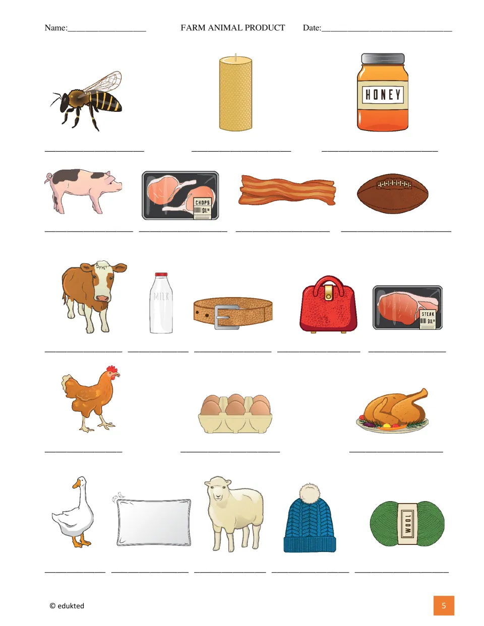 Picture labeling: students write the name under each farm animal and product image, from bee and honey to sheep and wool