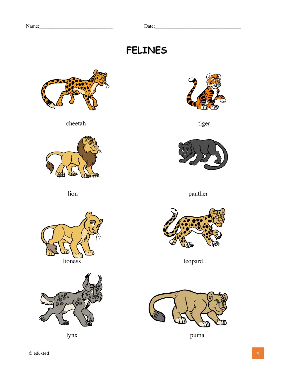 Feline picture vocabulary sheet labels cheetah, tiger, lion, panther, lioness, leopard, lynx, and puma