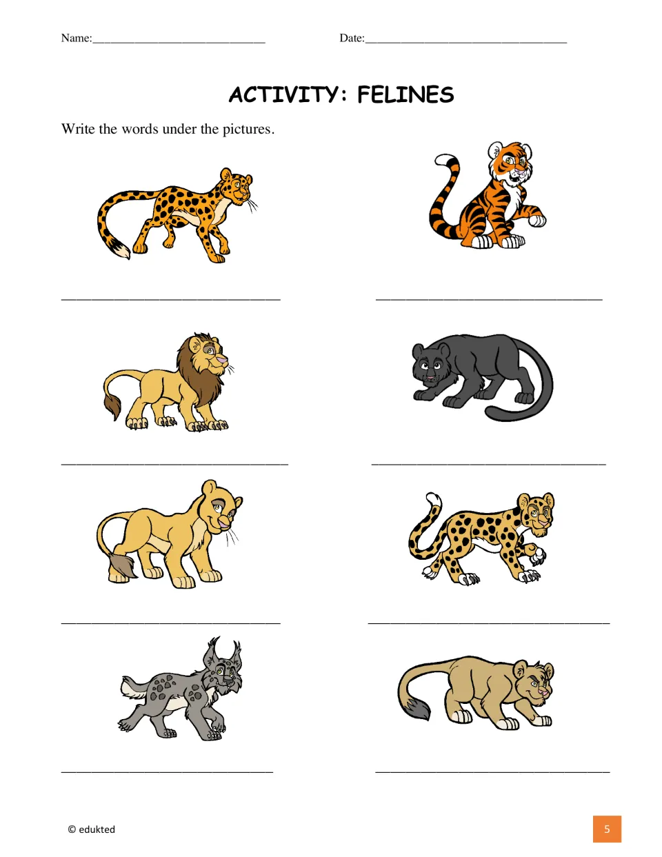 Feline labeling activity asks students to name pictures of cheetah, tiger, lion, panther, and four more
