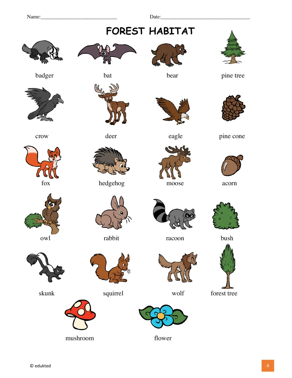 Forest vocabulary reference pairs 22 pictures with labels, including badger, bat, bear, pine tree, and mushroom.