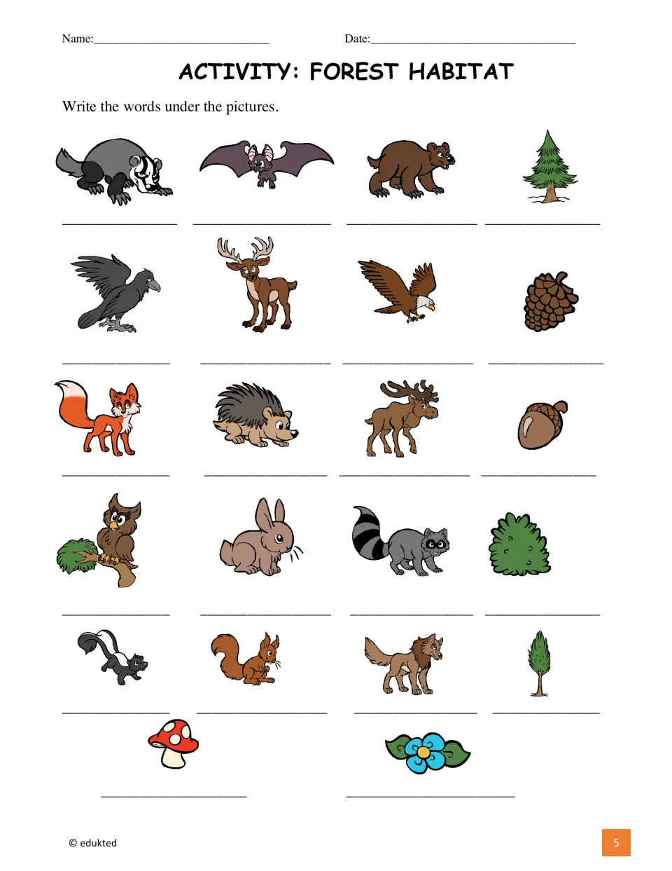 Forest vocabulary labeling activity asks students to write names for 22 pictures, including fox, owl, and acorn.
