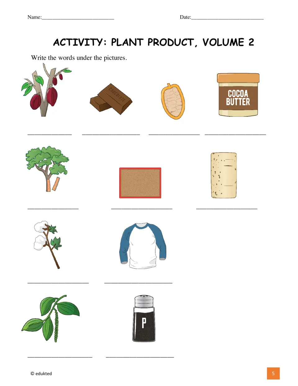 Vocabulary labeling activity asks students to name 11 pictures, including chocolate, cotton, and cork products.