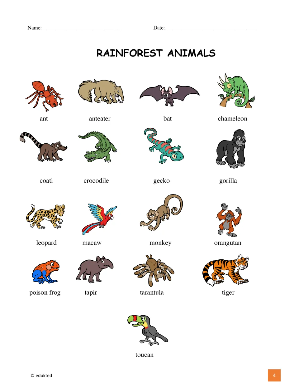 Vocabulary reference sheet pairs 17 rainforest animal pictures with names, including coati, tapir, and toucan
