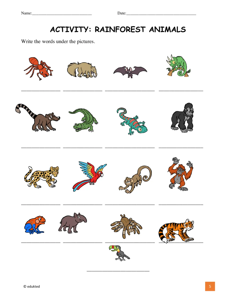 Animal identification activity asks students to write names under the 17 pictures from the vocabulary sheet