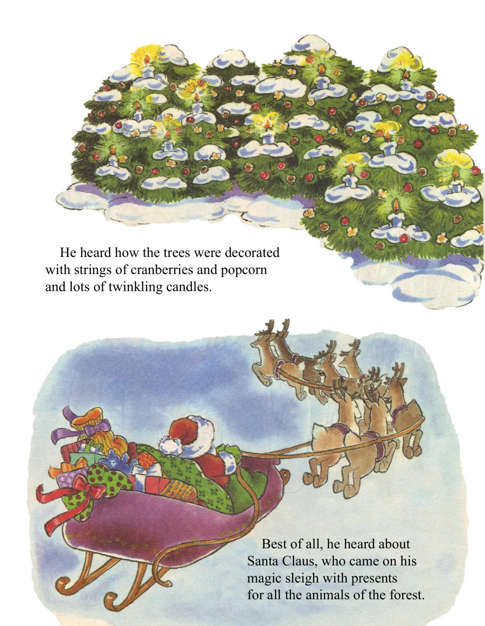 Little Bear hears of trees trimmed with cranberries, popcorn and candles, and Santa's reindeer sleigh full of presents