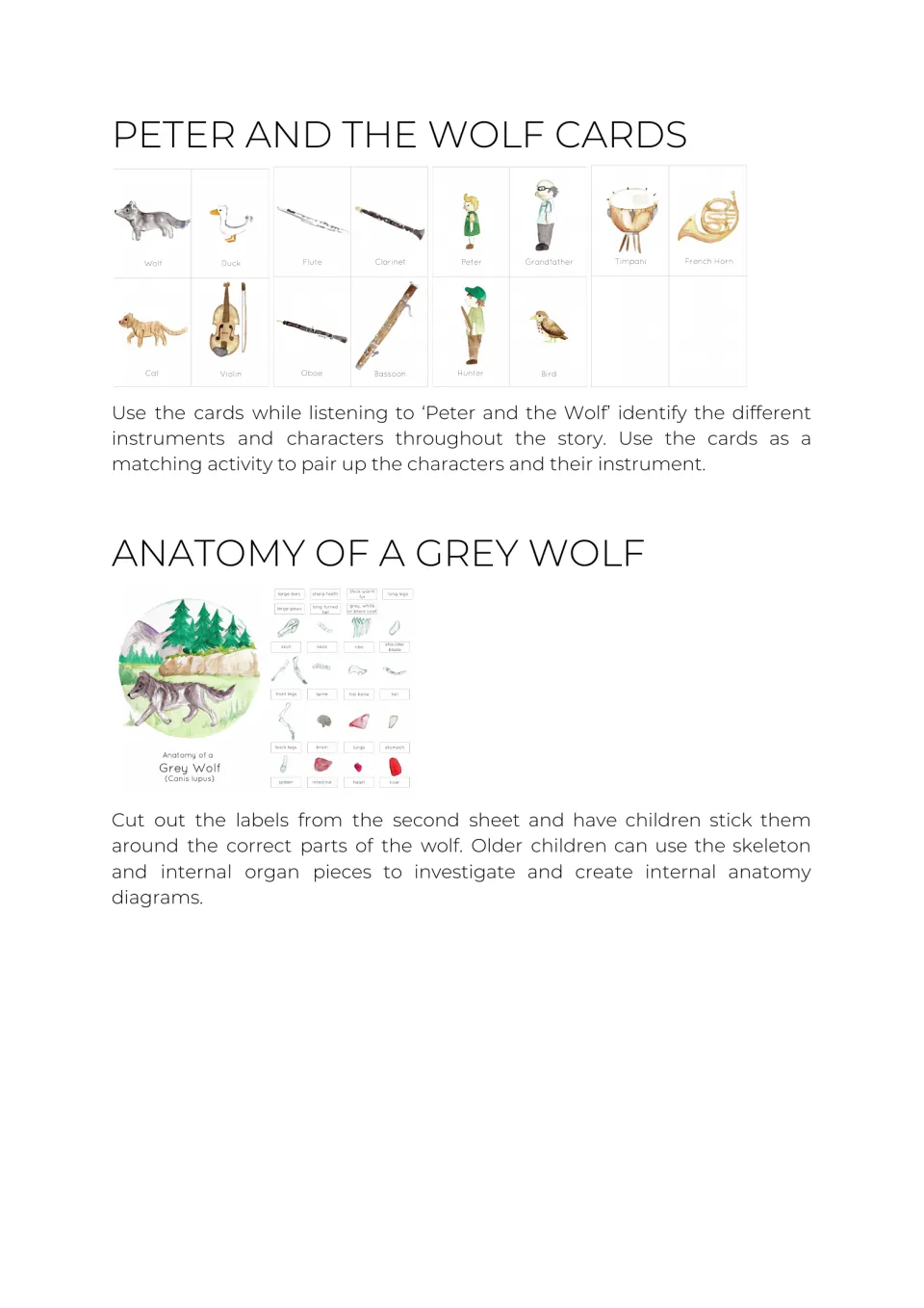 Peter and the Wolf cards and grey wolf anatomy: children match characters to instruments and label parts of a wolf