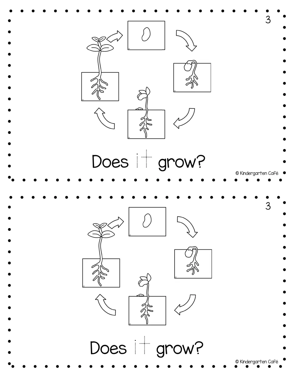 Page 3 of the mini book: a bean plant life cycle shown with arrows above the sentence Does it grow? with a dotted it