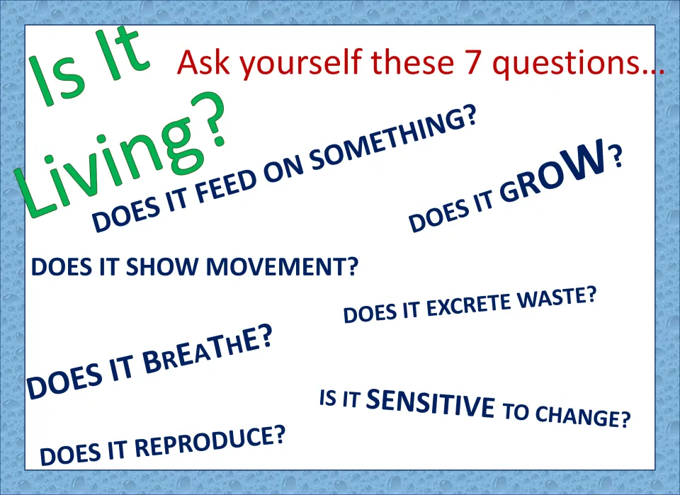 Living things reference poster asking seven questions about feeding, growth, movement, and other traits