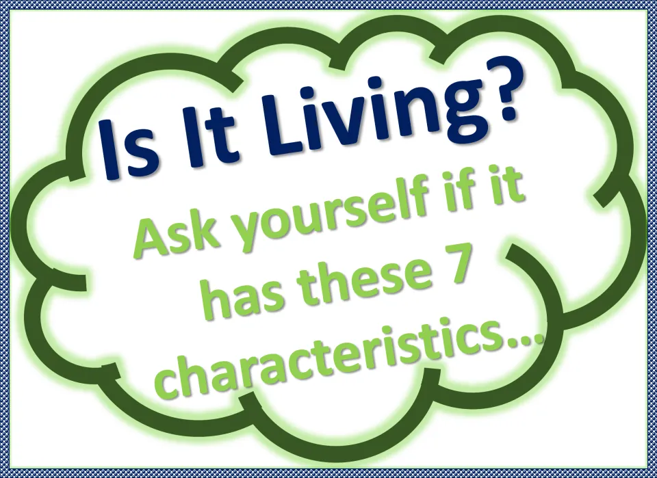 Title poster for the living things display: 'Is It Living? Ask yourself if it has these 7 characteristics'