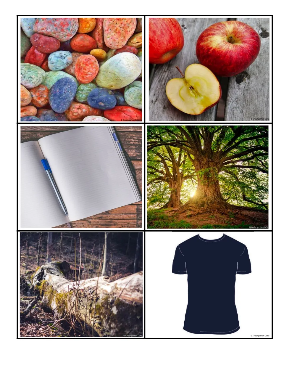 Sorting photo cards 1–6 show rocks, apples, a notebook and pen, a tree, a fallen log, and a shirt