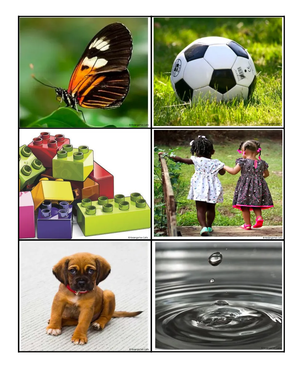 Sorting photo cards 7–12 show a butterfly, soccer ball, toy blocks, two children, a puppy, and water