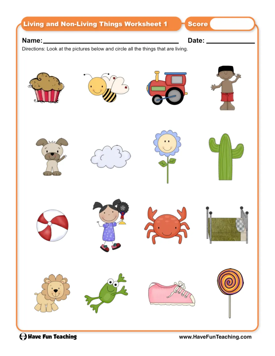 Living or not: students circle the living things among 16 pictures, such as a bee, frog, cactus, ball, train and lollipop
