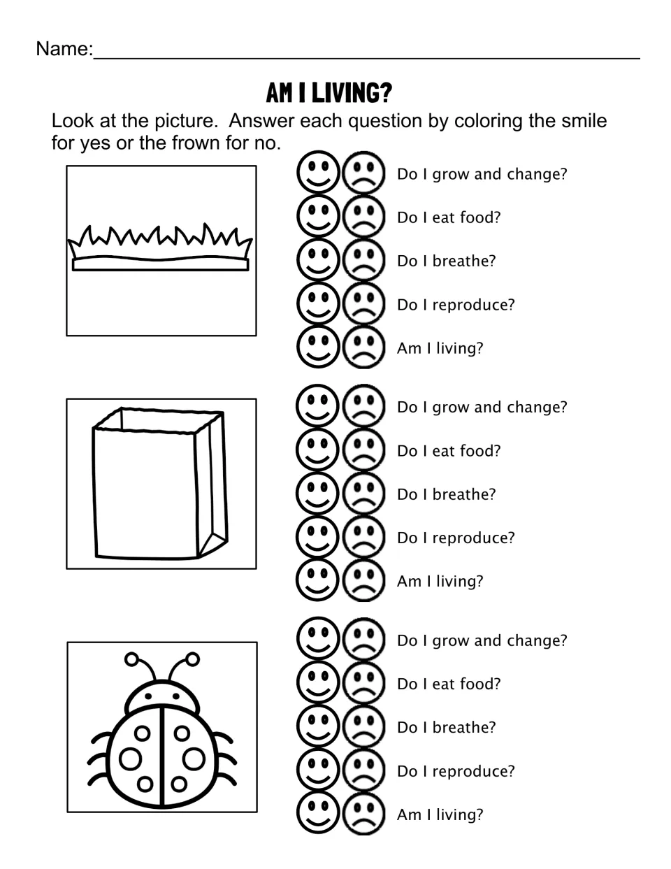Am I Living? grass, paper bag and ladybug: students answer five yes-or-no life questions by coloring faces
