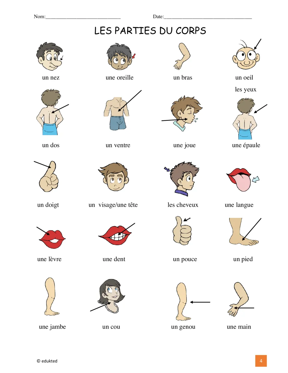 Illustrated French body vocabulary reference: un nez (nose), une oreille (ear), un bras (arm), and 17 more entries