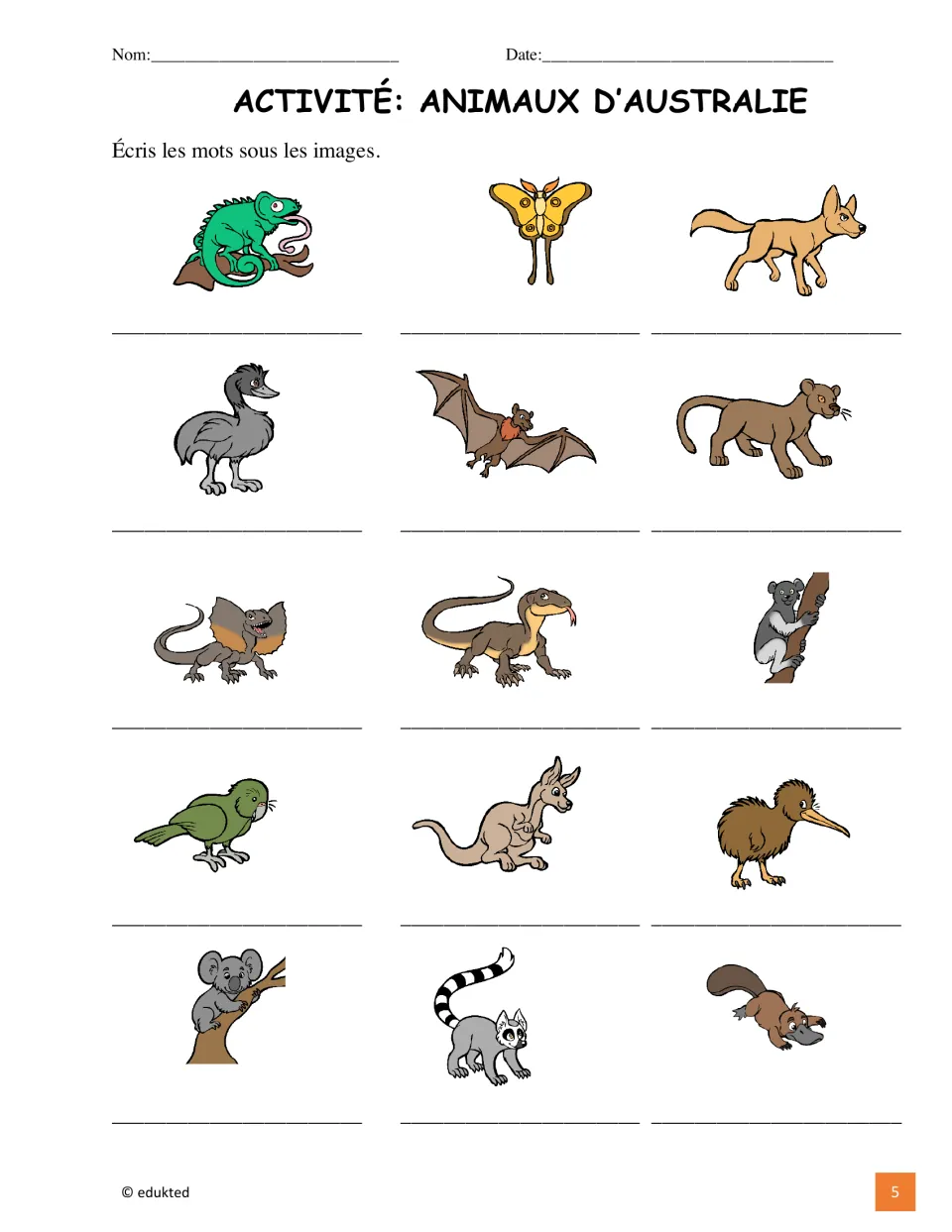 Animal vocabulary labeling activity asks students to write French names for the same 15 pictured animals