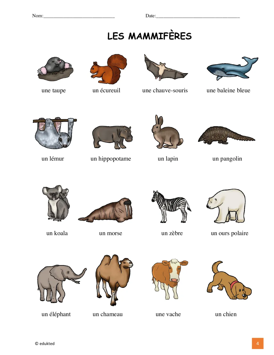 Mammal vocabulary reference illustrates 16 French names, including une taupe (mole) and un écureuil (squirrel)