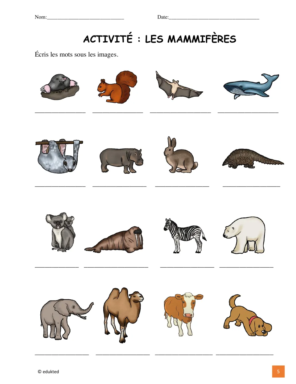 Mammal labeling activity asks students to write French names for 16 pictured animals, including a bat and whale