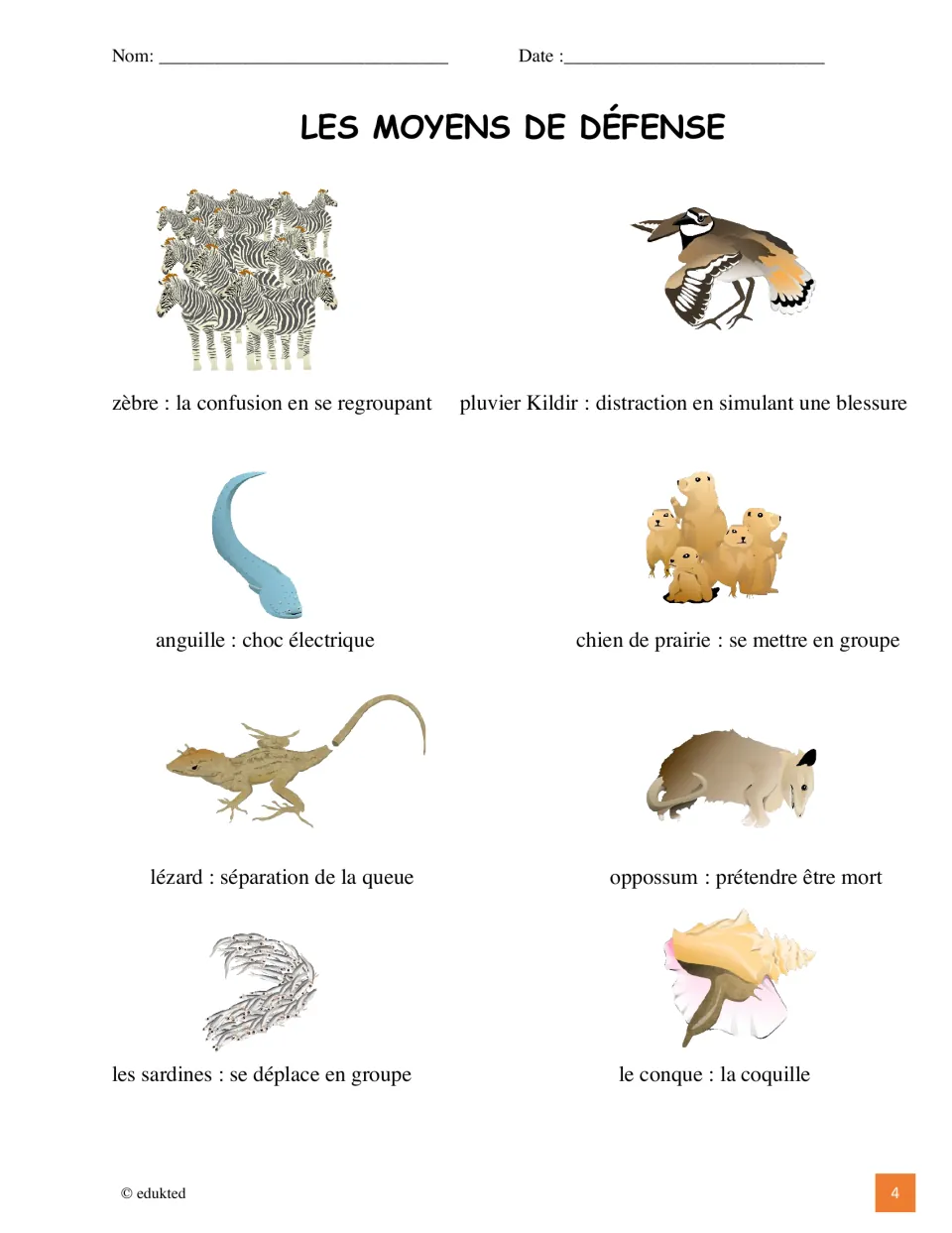 Illustrated French vocabulary reference pairs eight animals with defenses, including lézard (lizard)