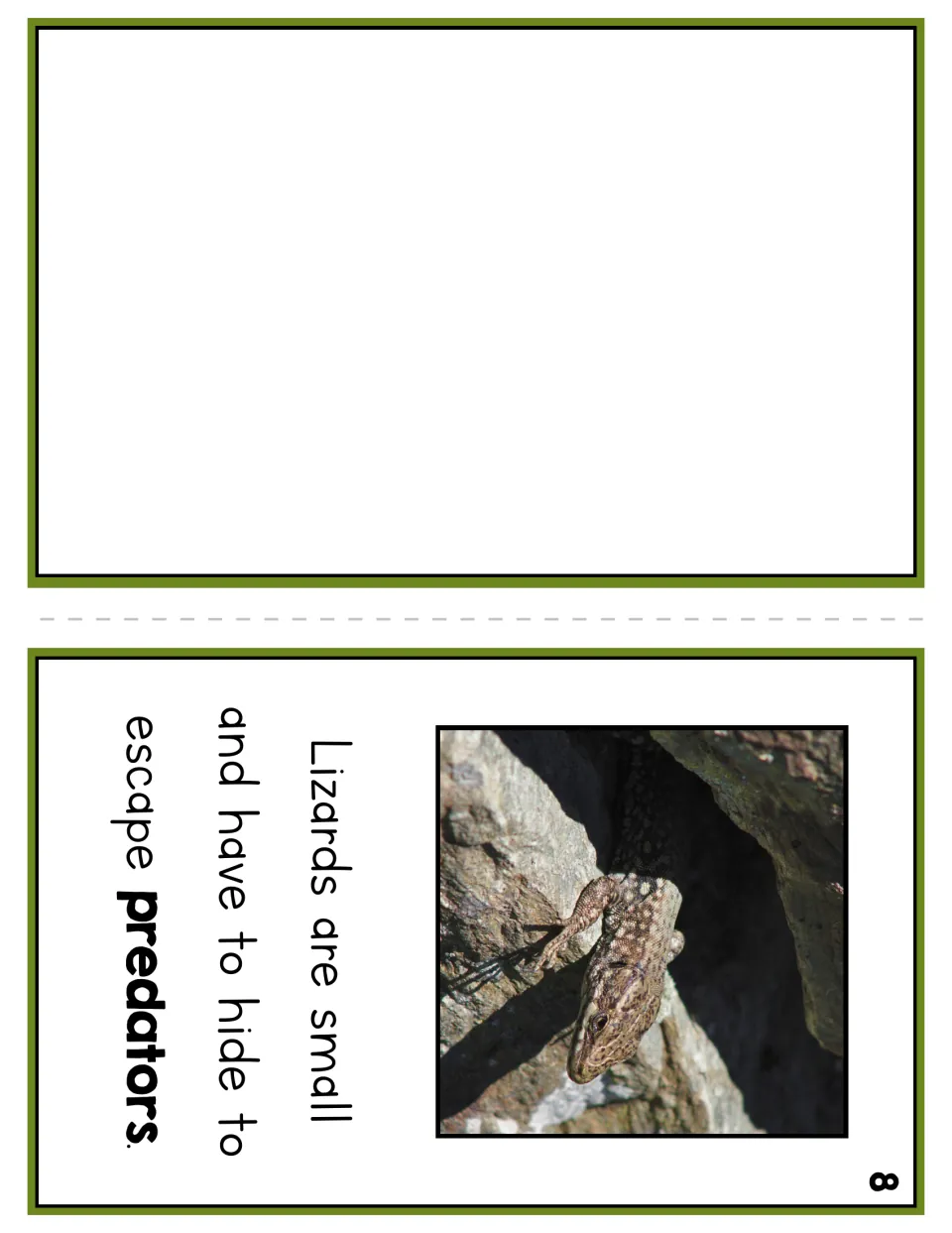 Reader page 8 pairs a lizard photograph with the sentence about small lizards hiding to escape predators