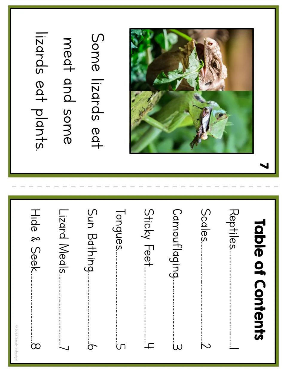 Reader page 7 explains that some lizards eat meat and some eat plants, paired with the table of contents