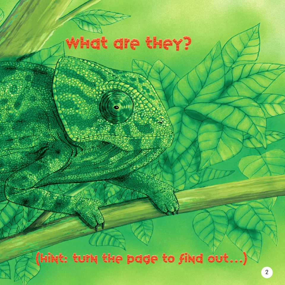Book page 2 asks 'What are they?' above a chameleon illustration and tells readers to turn the page