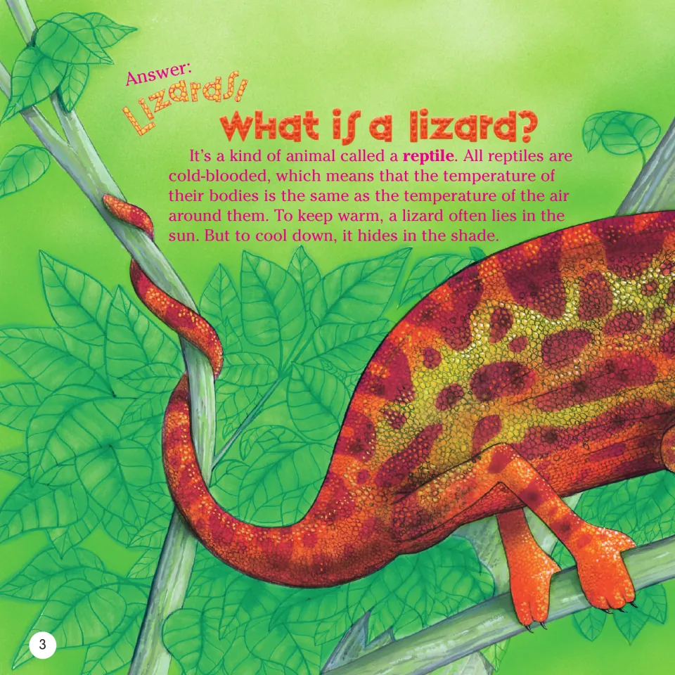 Book page 3 reveals 'Lizards!' and explains reptiles, cold-blooded bodies, warming in sun and cooling in shade