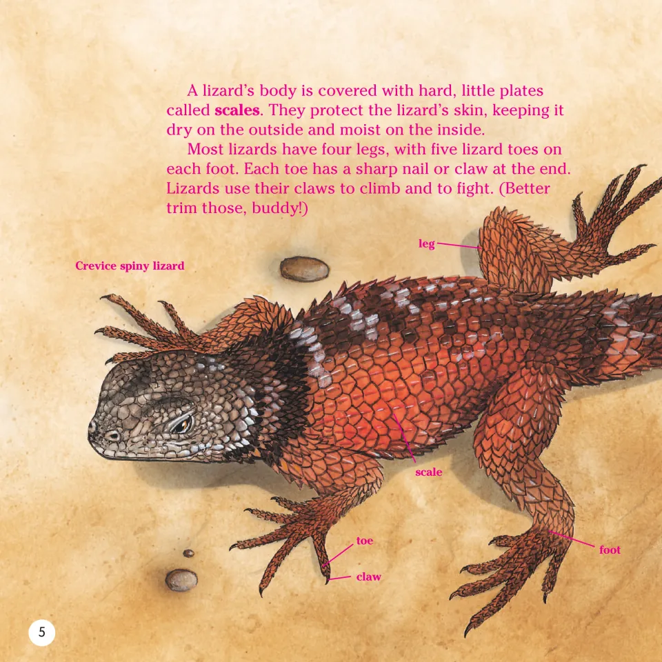 Book page 5 explains scales, legs, toes and claws using a labeled illustration of a crevice spiny lizard