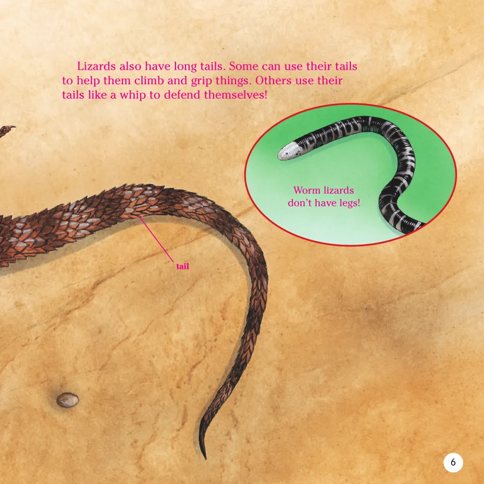 Book page 6 explains how lizards use tails to climb, grip and defend themselves, and shows a legless worm lizard
