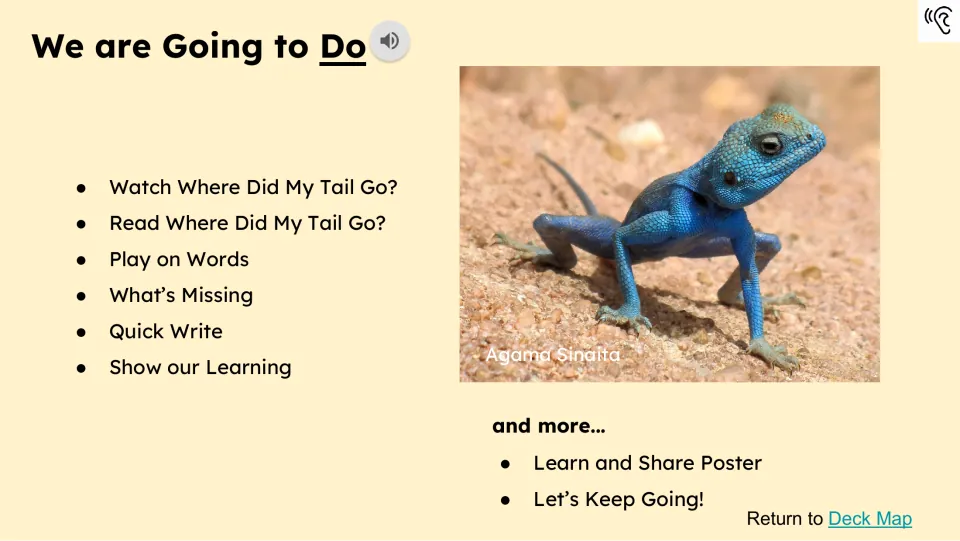 Activity preview lists watching and reading Where Did My Tail Go?, word work, writing, and showing learning.