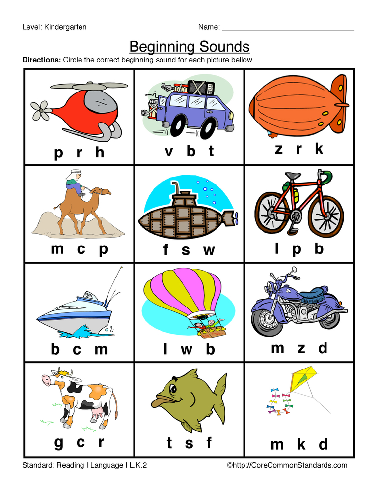 L.K.2 Common Core Worksheet teaching resource preview