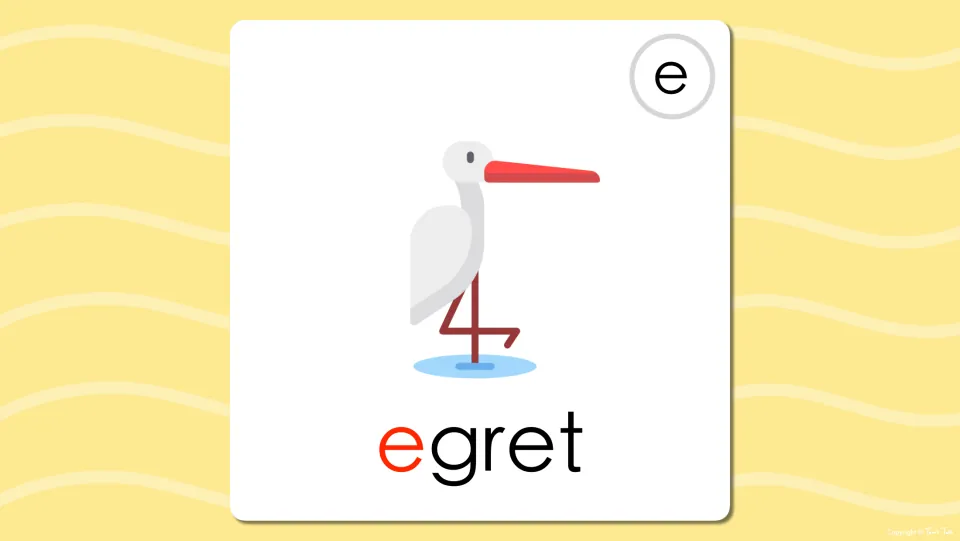 Long e flash card revealing the word egret, with the first letter e in red, under the wading bird picture