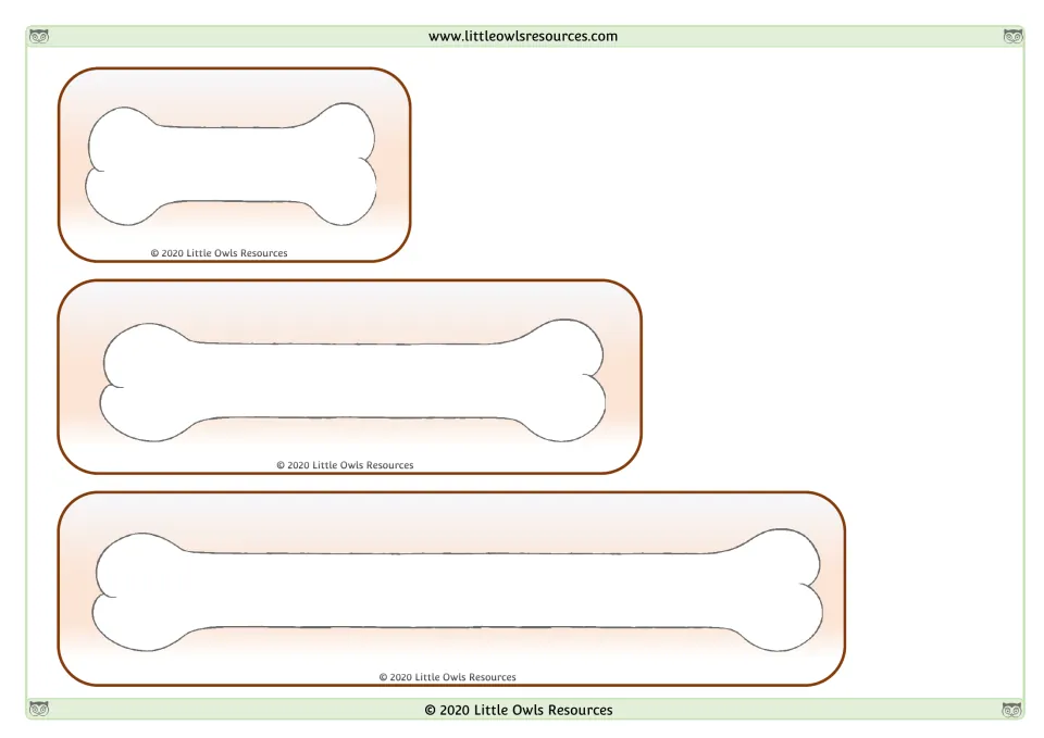 Bone length comparison cards: three white bones of different lengths to sort from shortest to longest.