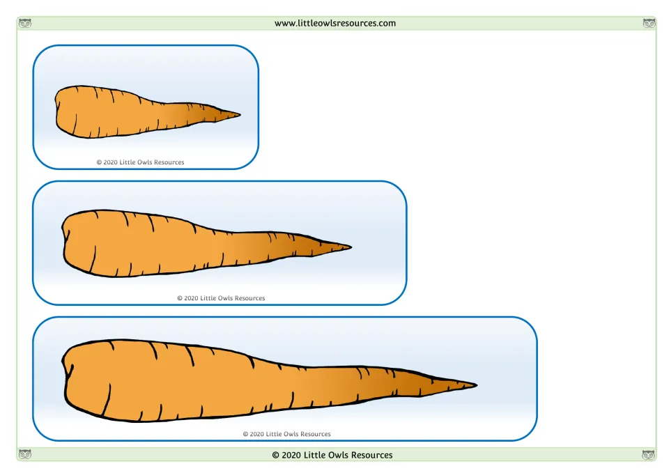Carrot length comparison cards: three orange carrots of different lengths for comparing and ordering.