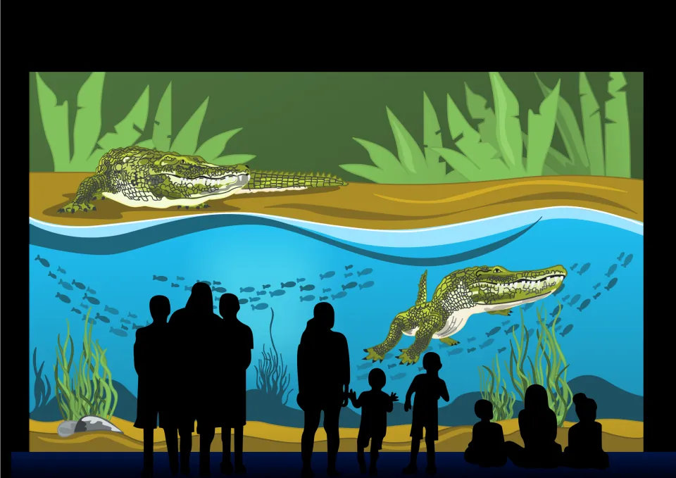 Story picture: visitors in silhouette watch crocodiles in a tank, one on a muddy bank and one swimming among fish