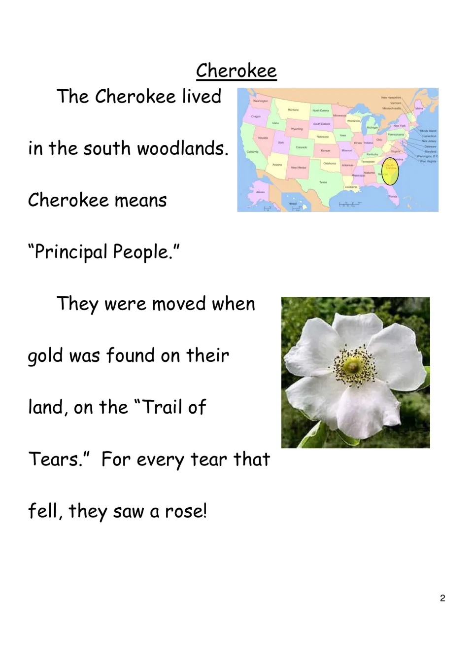 Cherokee homeland: students read about the south woodlands, the Trail of Tears and its rose, beside a US map