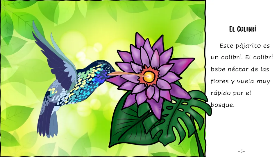 El Colibrí: students read in Spanish that the hummingbird drinks flower nectar and flies very fast through the forest