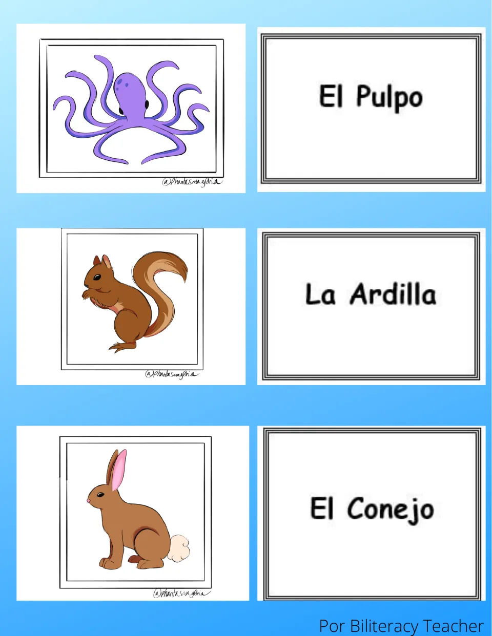 Spanish animal match cards: octopus, squirrel and rabbit pictures with word cards El Pulpo, La Ardilla and El Conejo
