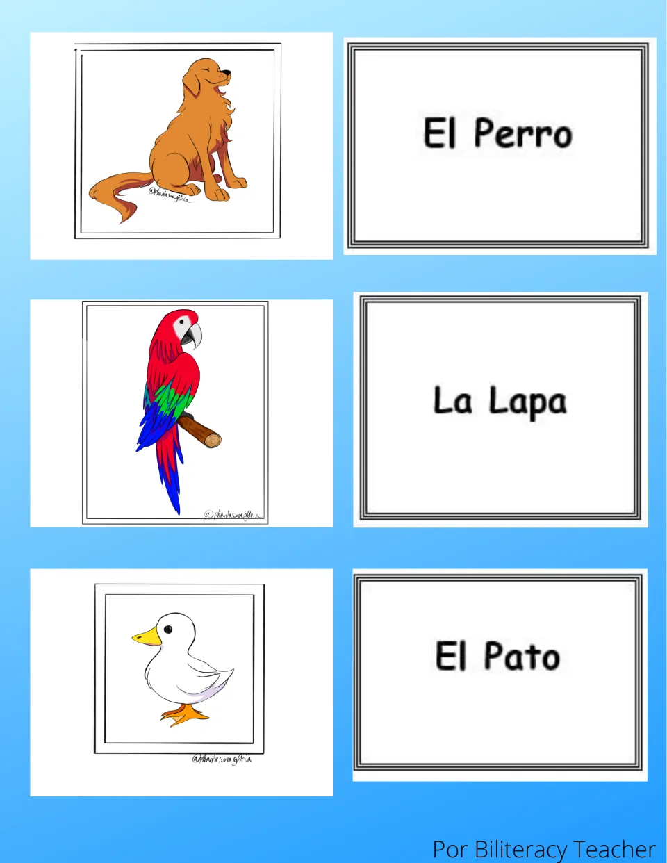 Spanish animal match cards: dog, macaw and duck pictures paired with word cards El Perro, La Lapa and El Pato