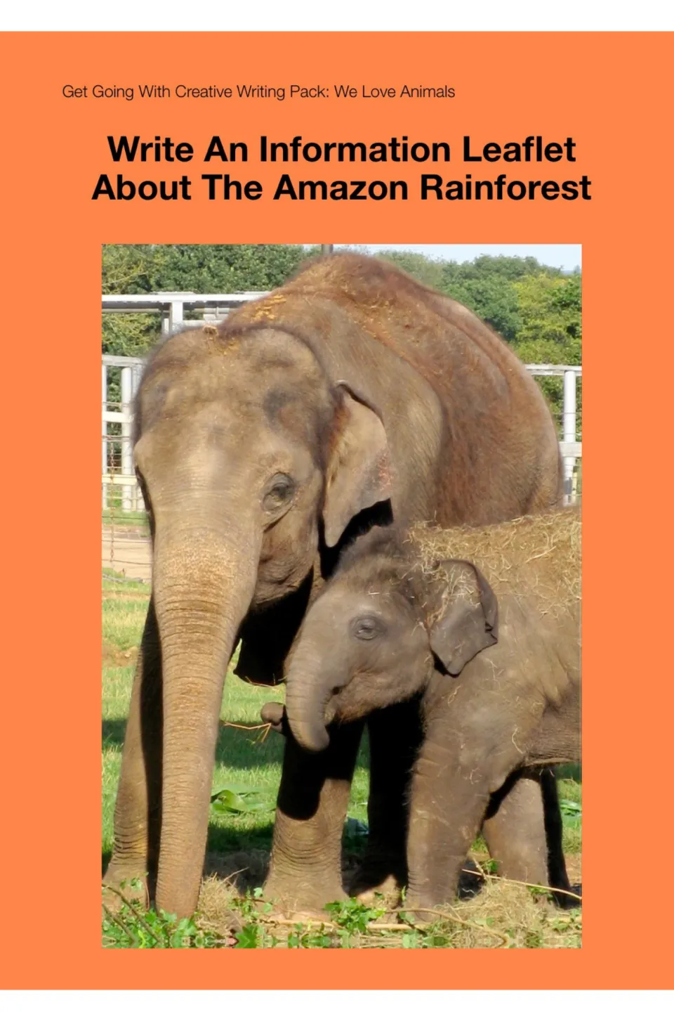 Information-leaflet section cover titled 'Write An Information Leaflet About The Amazon Rainforest'