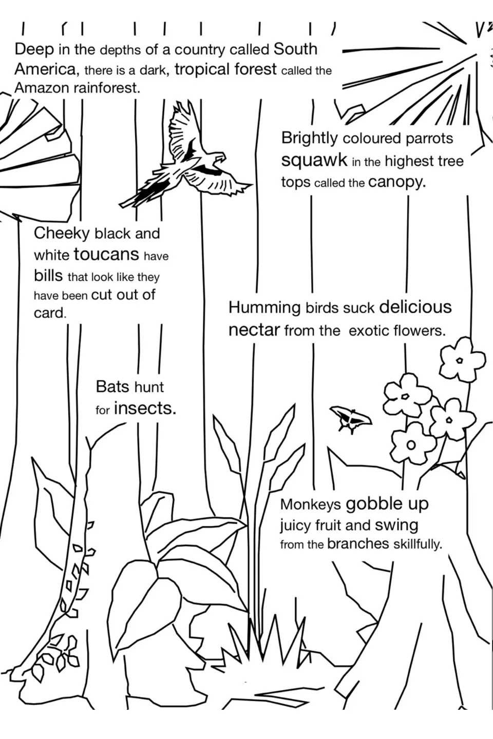 Rainforest reading for the leaflet task describes parrots, toucans, hummingbirds, bats, and monkeys