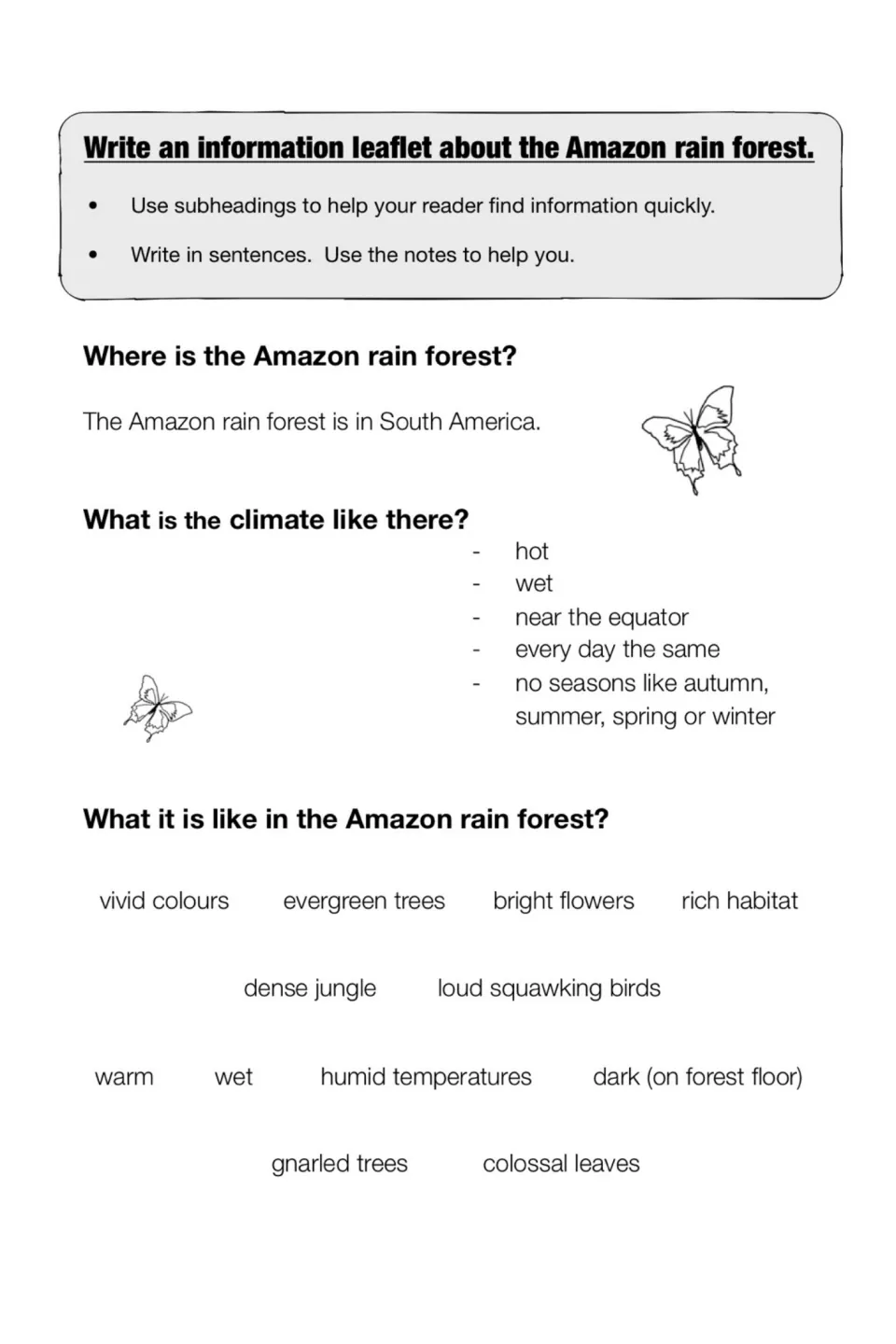 Leaflet planning notes cover the Amazon’s location, climate, and habitat, with directions to use subheadings
