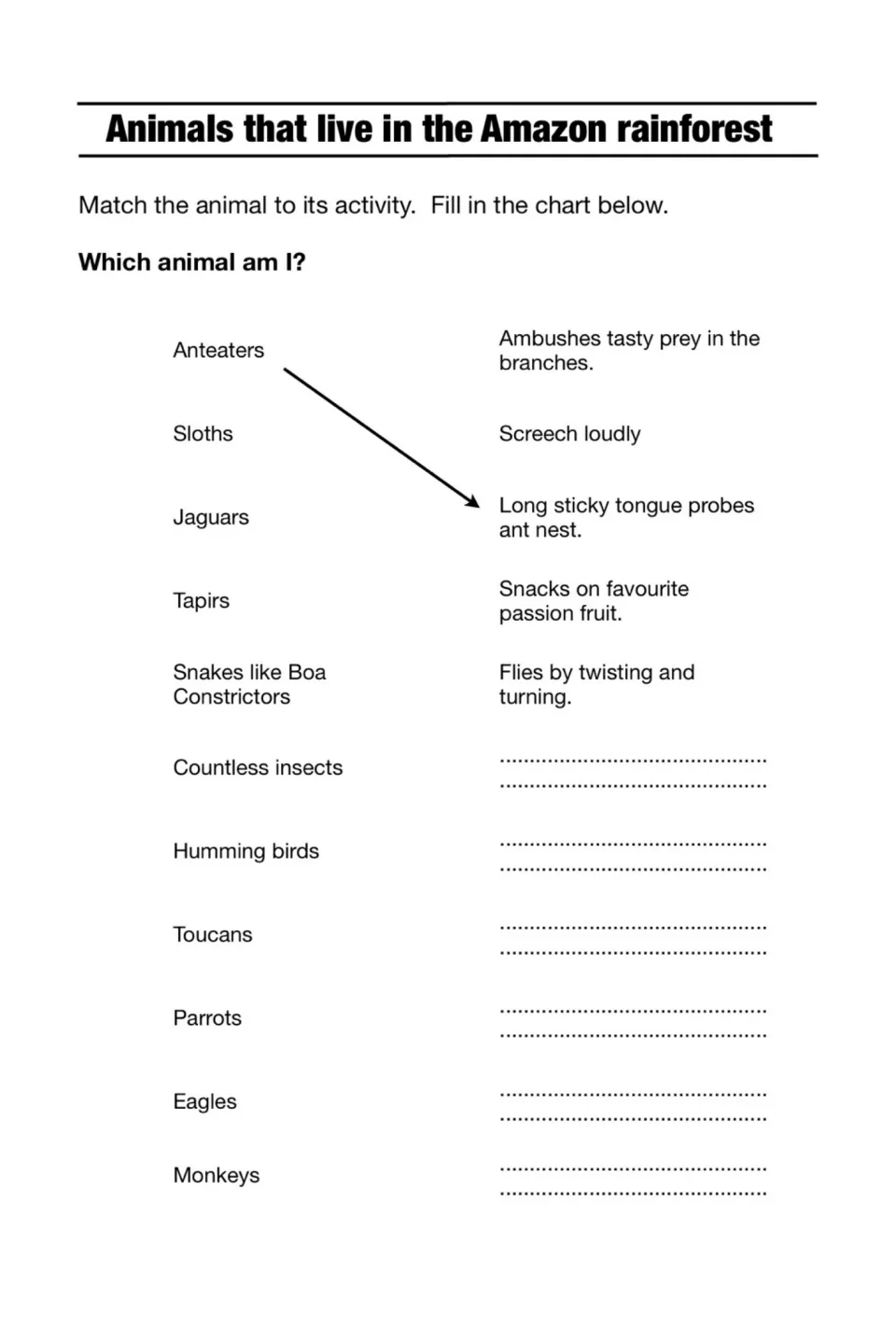 Rainforest animal matching task lists 11 animal groups, with an anteater example and missing activity prompts