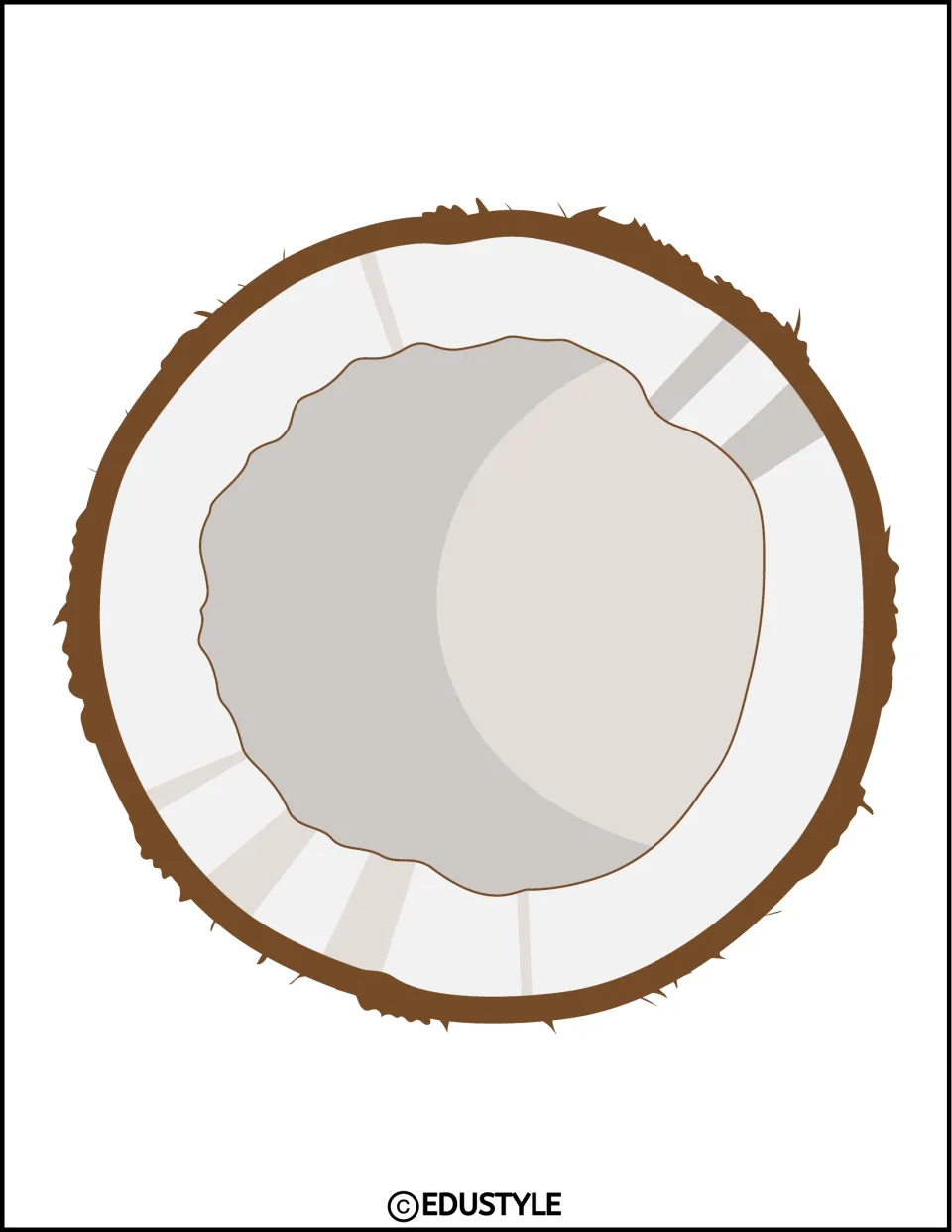 Coconut cut-out: a halved coconut with a hairy brown shell and a white flesh ring around a gray center