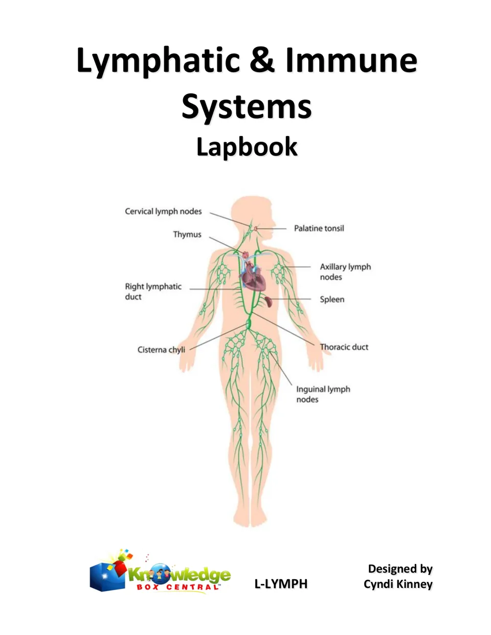 Lymphatic and immune systems lapbook cover with a labeled body diagram of thymus, spleen, lymph nodes and thoracic duct