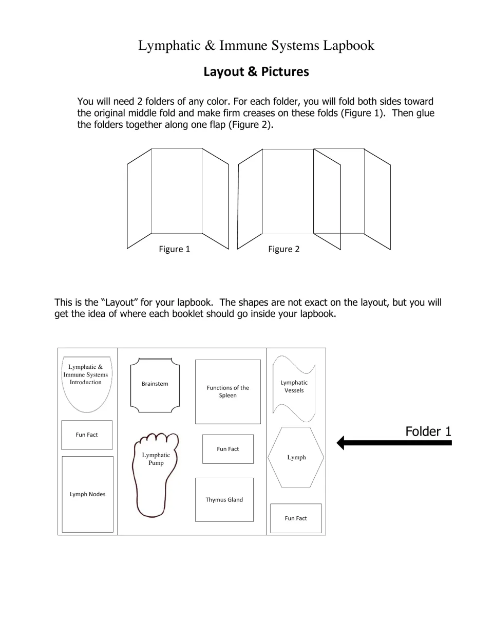 Layout for folder 1: folding diagrams and a map placing booklets on lymph nodes, spleen, thymus, lymph and lymphatic pump