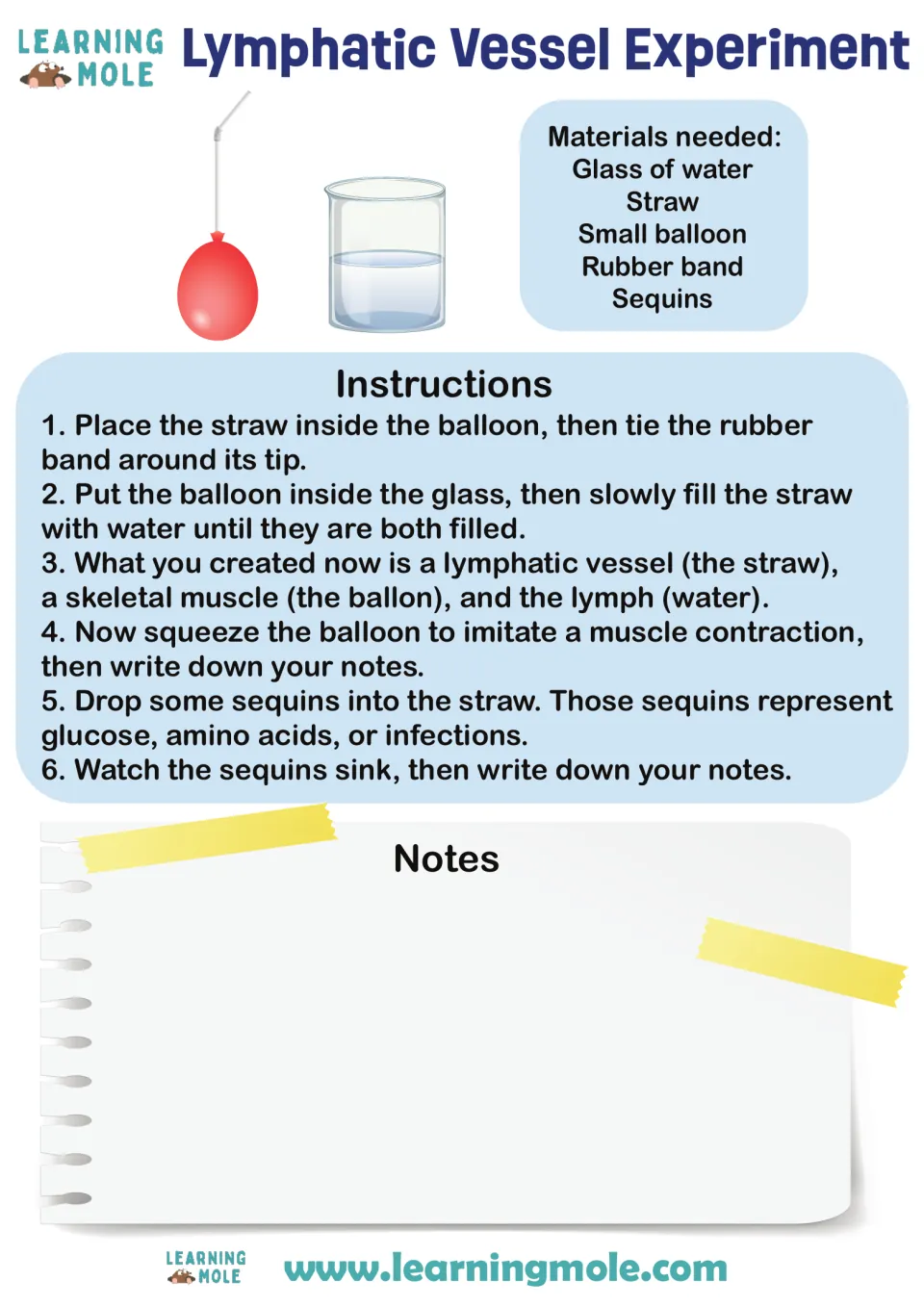 Experiment sheet modeling a lymphatic vessel using a straw and balloon, with six steps and space for notes.